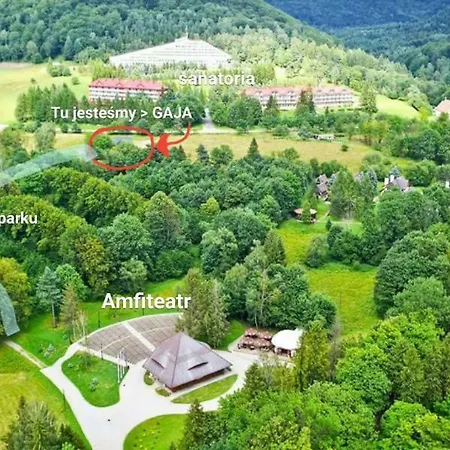 Gaja